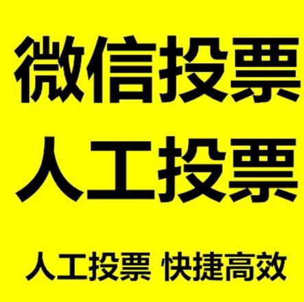 资阳市投票活动拉票能被查出来吗？如何操作能不被发现？
